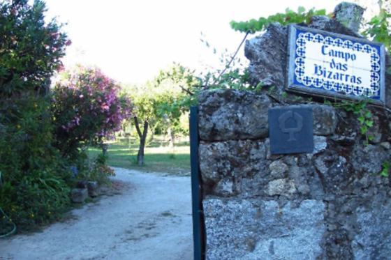 Casa Campo Das Bizarras Castro Daire Eksteriør bilde