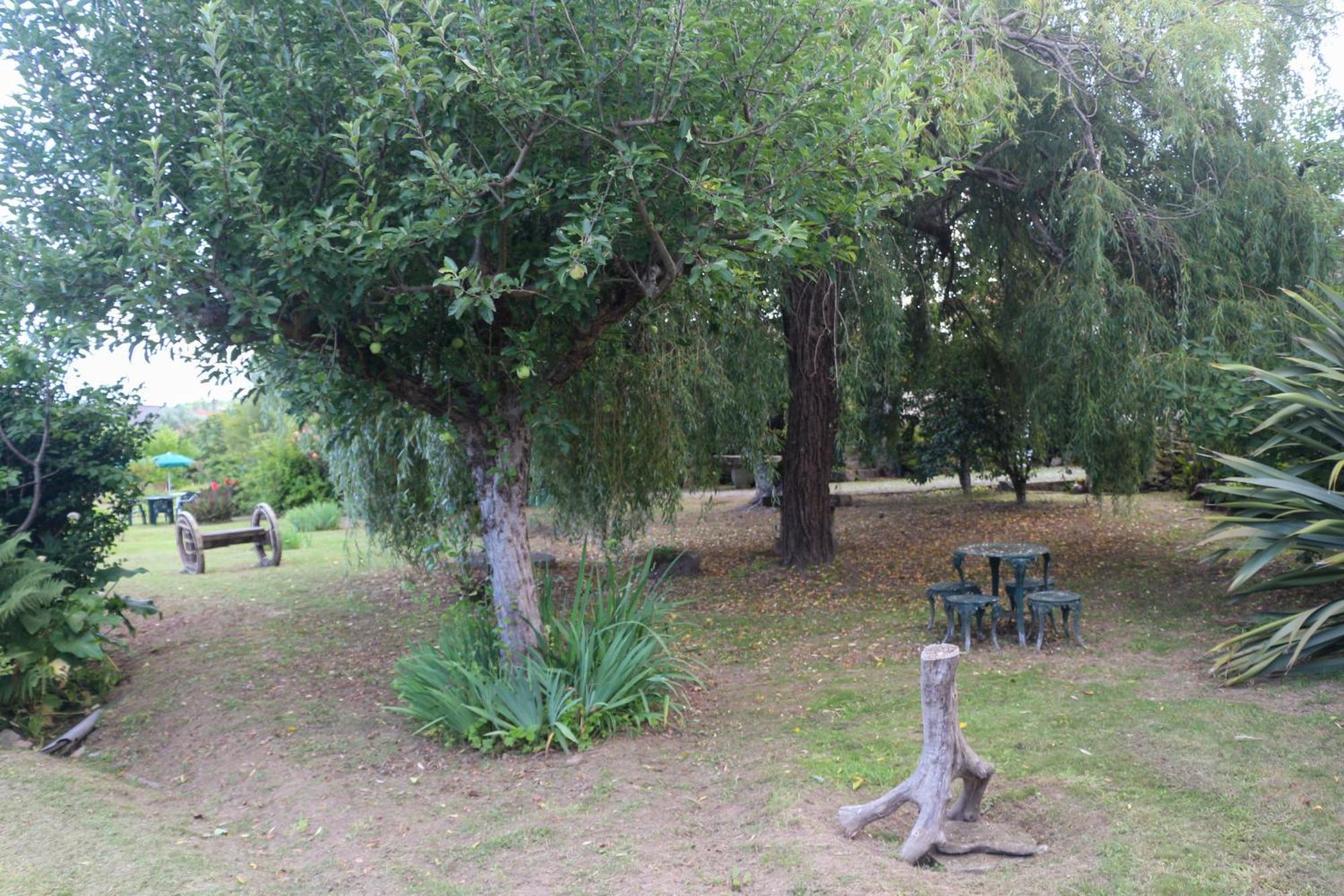 Casa Campo Das Bizarras Castro Daire Eksteriør bilde