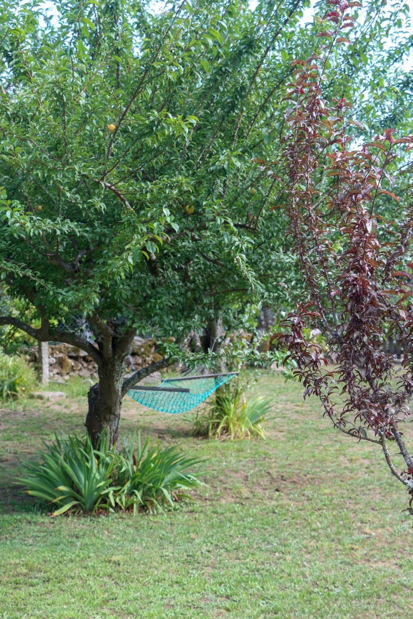 Casa Campo Das Bizarras Castro Daire Eksteriør bilde